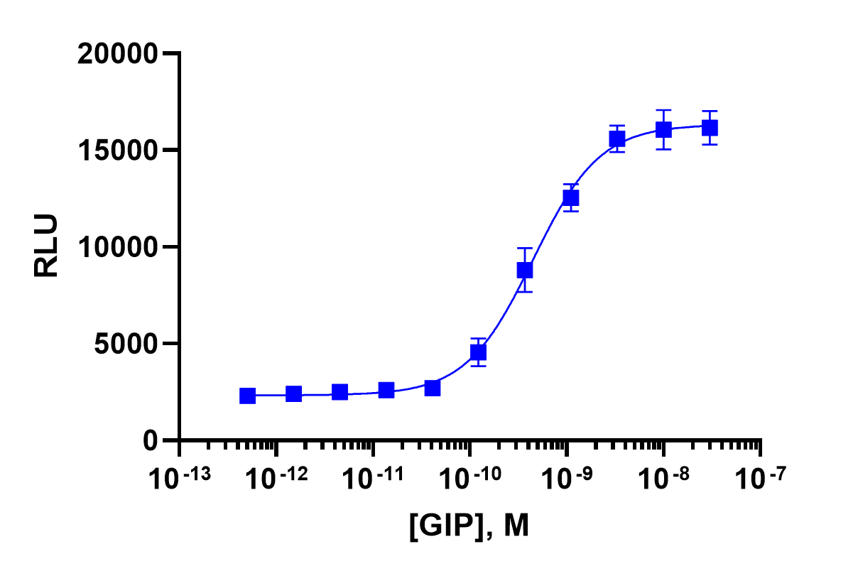 cAMP Hunter™ Human GIP (GIP Receptor) Gs Cell-Based Assay Kit (CHO-K1)