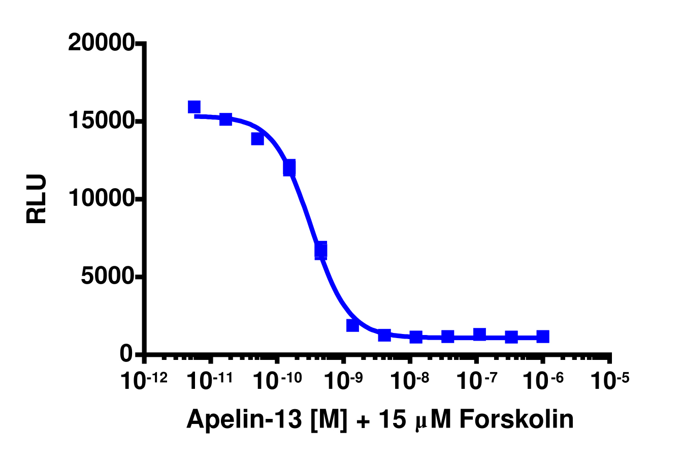 cAMP Hunter™ Human Apelin (APJ Receptor) Gi Stable Cell Line Assay (CHO-K1)