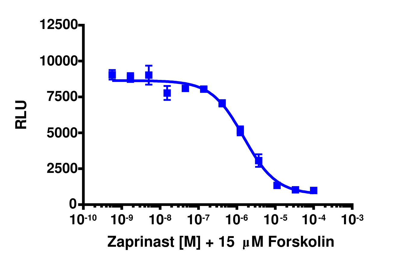 cAMP Hunter™ Human GPR35 Gi Stable Cell Line Assay (CHO-K1)