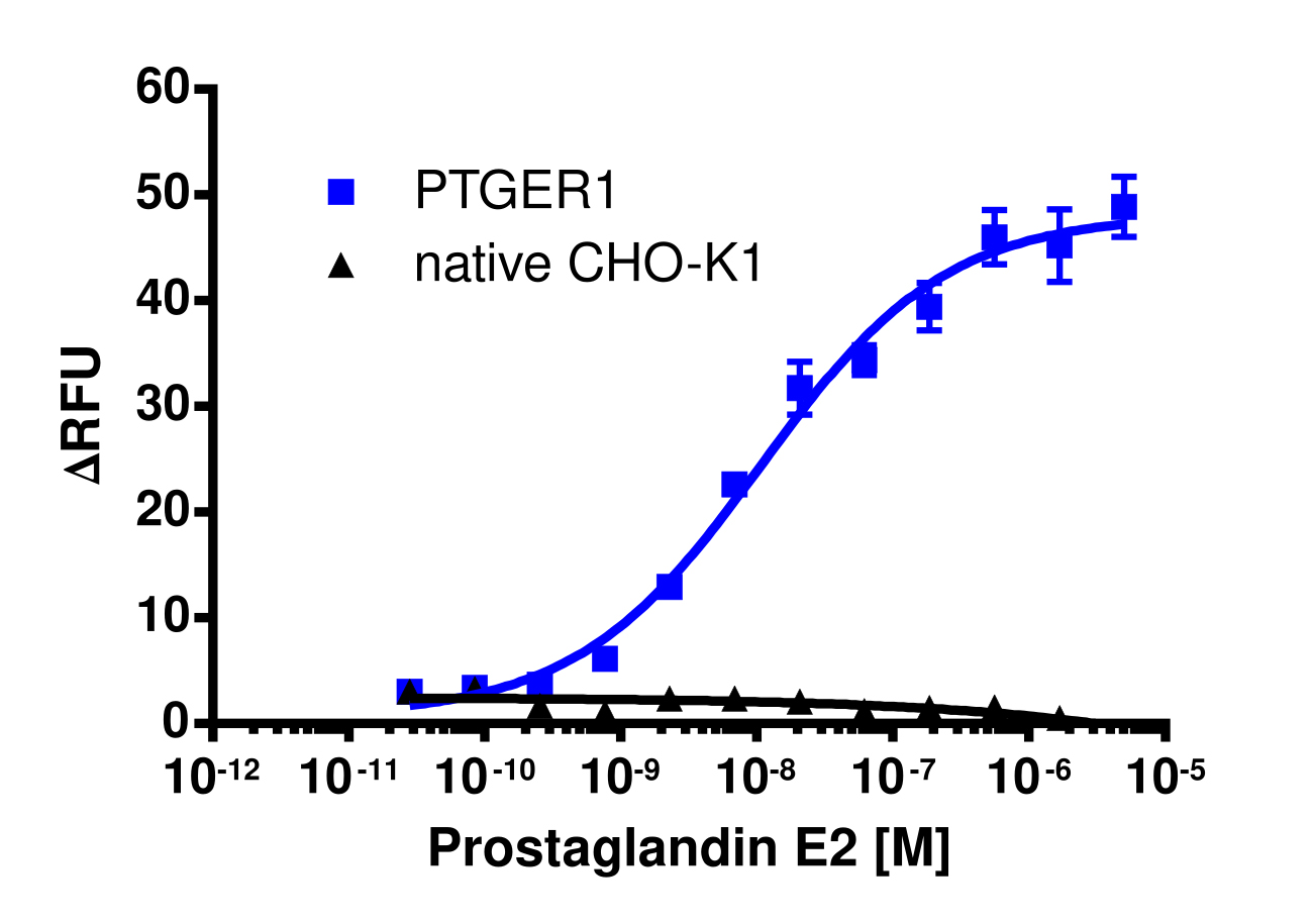 PTGER1 Gq Stable Cell Line Calcium Signaling Assay (CHO-K1)