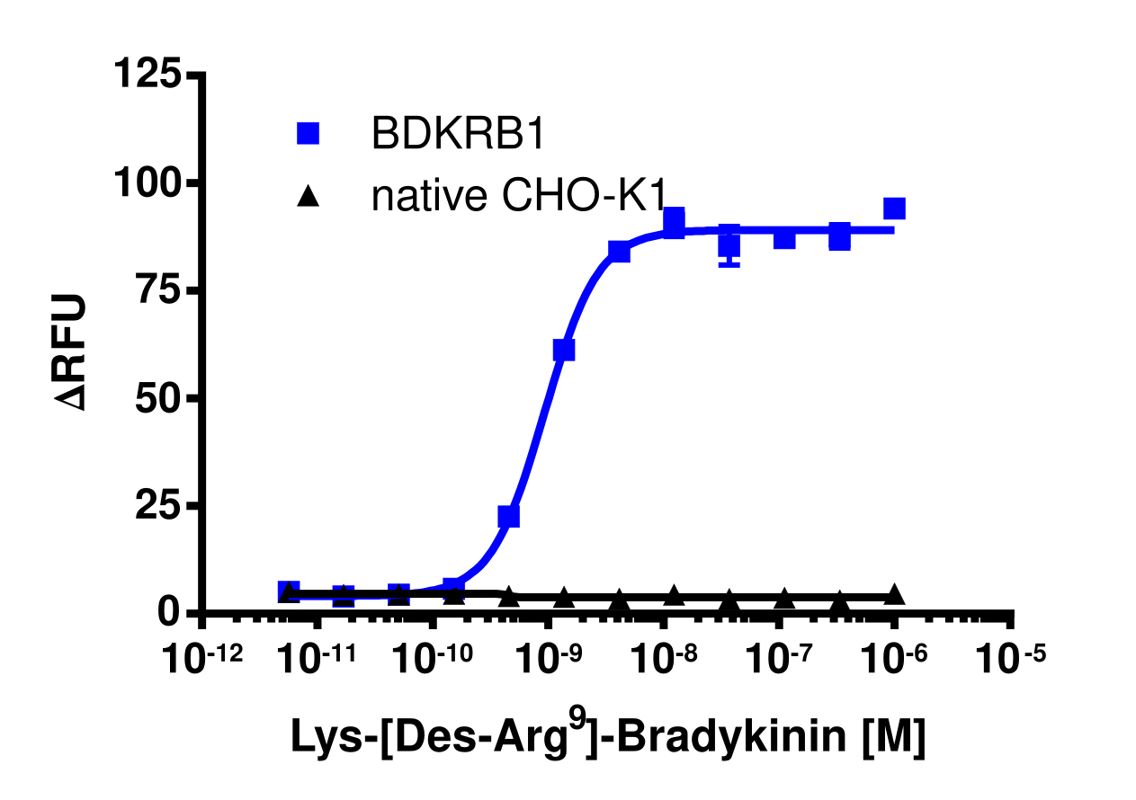 BDKRB1 Gq Stable Cell Line Calcium Signaling Assay (CHO-K1)
