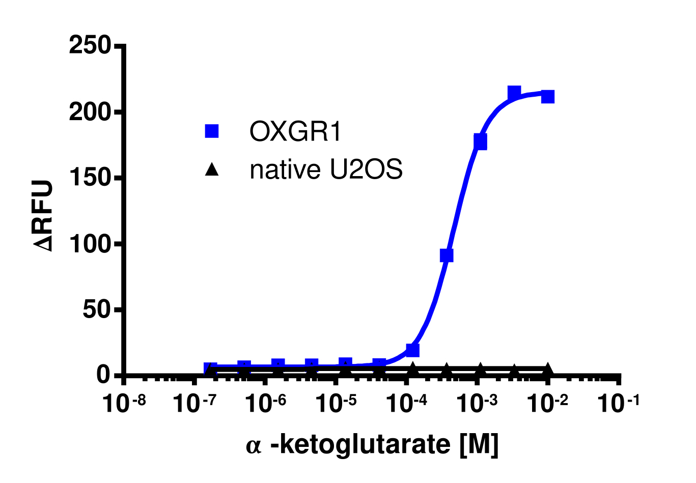 OXGR1 Gq Calcium Signaling Cell-Based Assay Kit (U2OS)