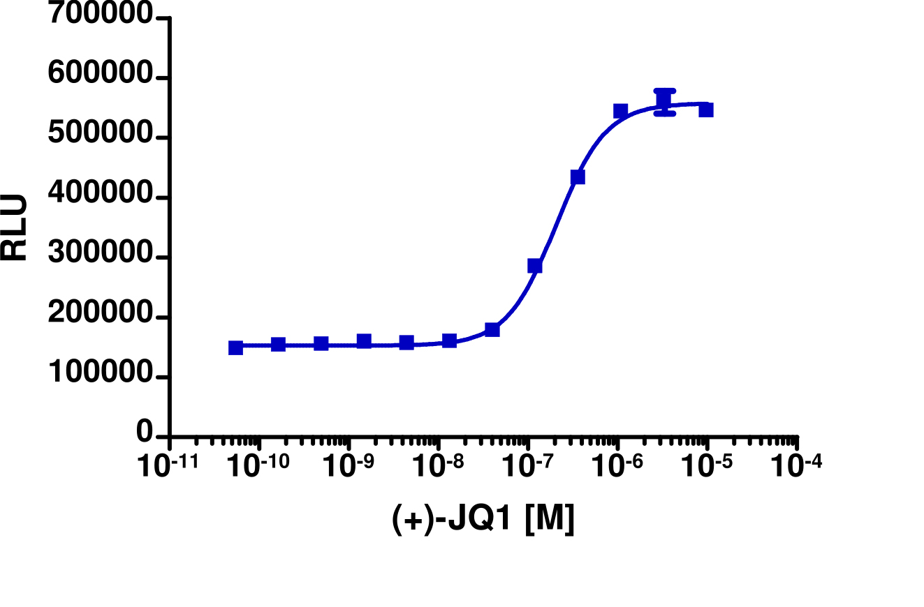 InCELL Hunter™ Human BRD3(1,2) Bromodomain Target Engagement Cell-Based Assay Kit (HEK 293)