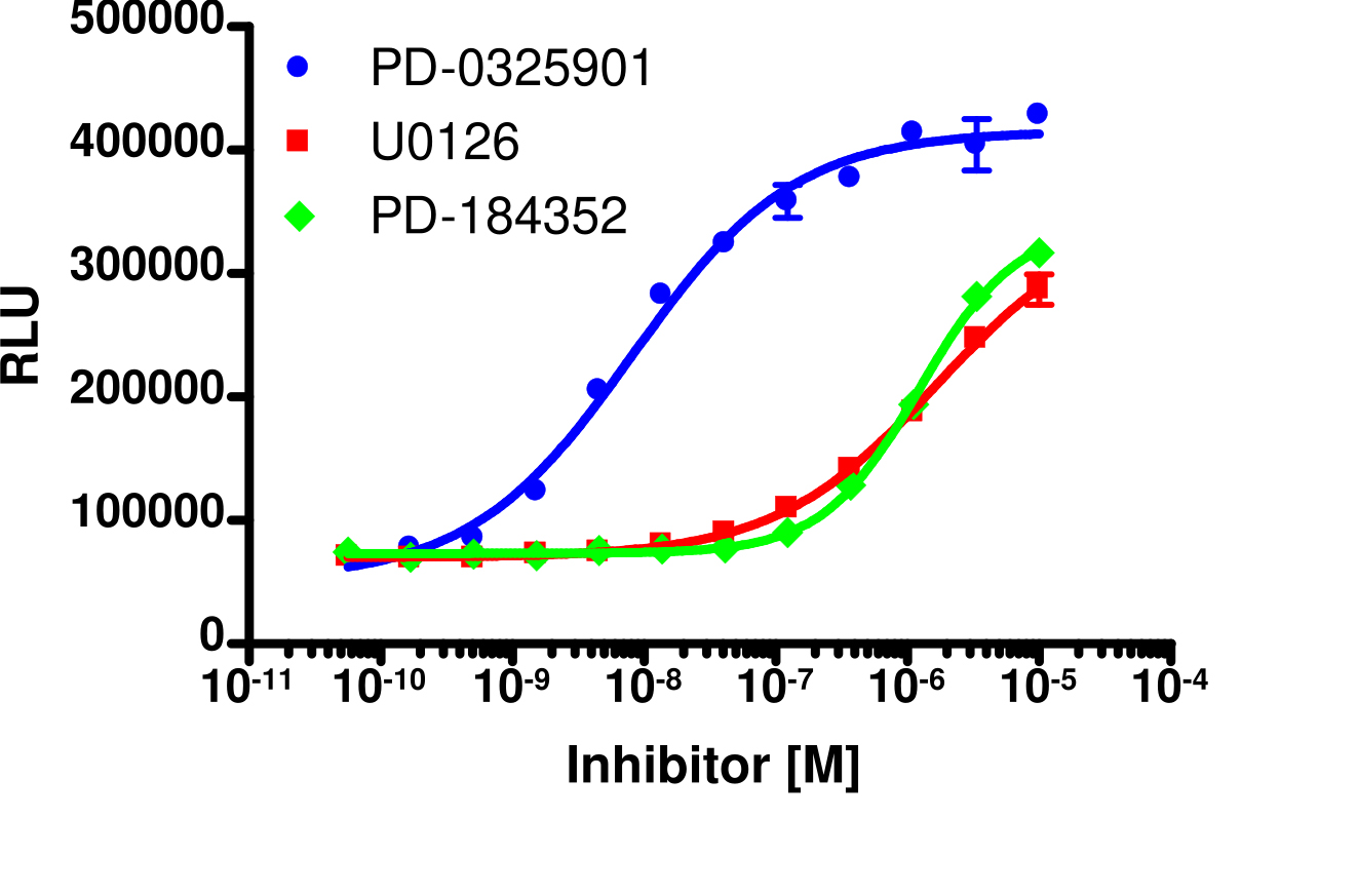 InCELL Hunter™ Human MEK1 Kinase Target Engagement Cell-Based Assay Kit (A549)
