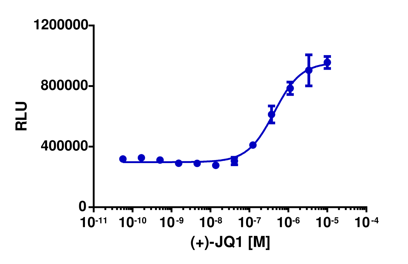 InCELL Hunter™ Human BRD2(1,2) Bromodomain Stable Cell Line Target Engagement Assay (HEK 293)