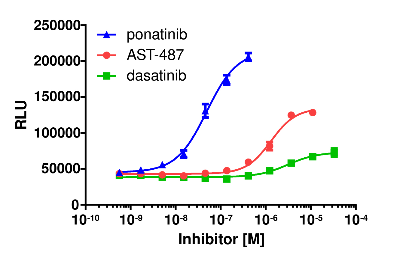 InCELL Hunter™ Human RIPK3 Stable Cell Line Target Engagement Assay (Jurkat)