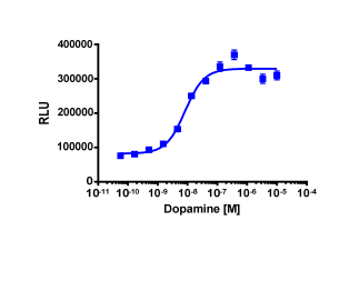PathHunter® Human DRD3 β-Arrestin Cell-Based Assay Kit (CHO-K1)