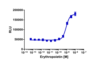 PathHunter® Human Erythropoietin (EpoR/EpoR) Dimerization Cell-Based Assay Kit (U2OS)