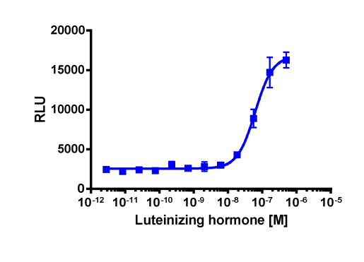 cAMP Hunter™ Human LHCGR Gs Stable Cell Line Assay (CHO-K1)