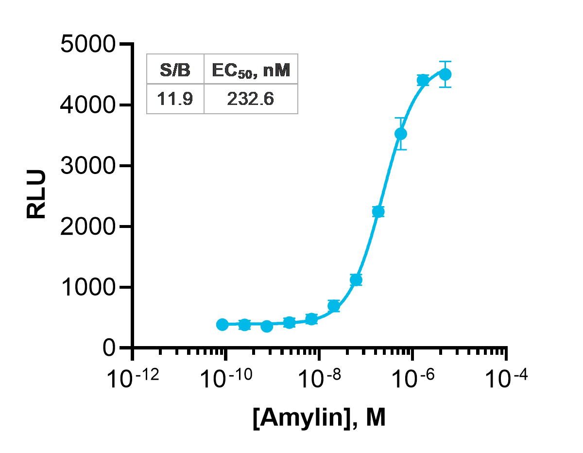 PathHunter® eXpress CALCR-RAMP1 (AMY1) β-Arrestin Recruitment Assay (CHO-K1)