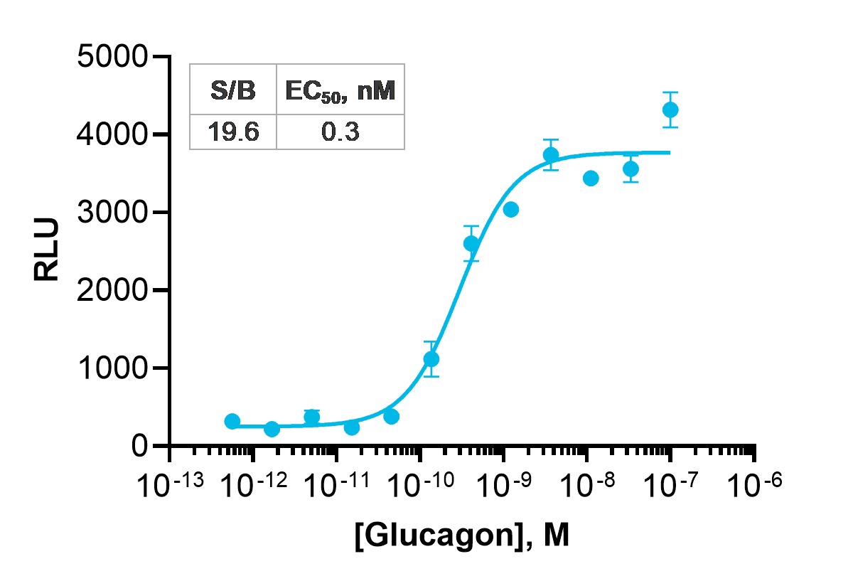 cAMP Hunter™ eXpress Rat GCGR Gs Assay (CHO-K1)