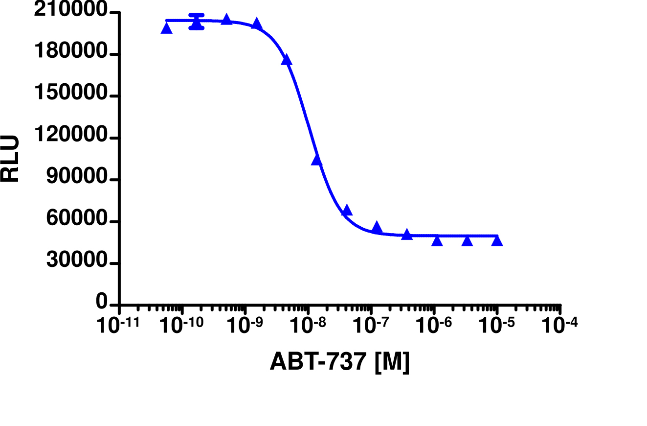 InCELL Hunter™ U2OS Bcl2-Bim Protein Binding Cell Line