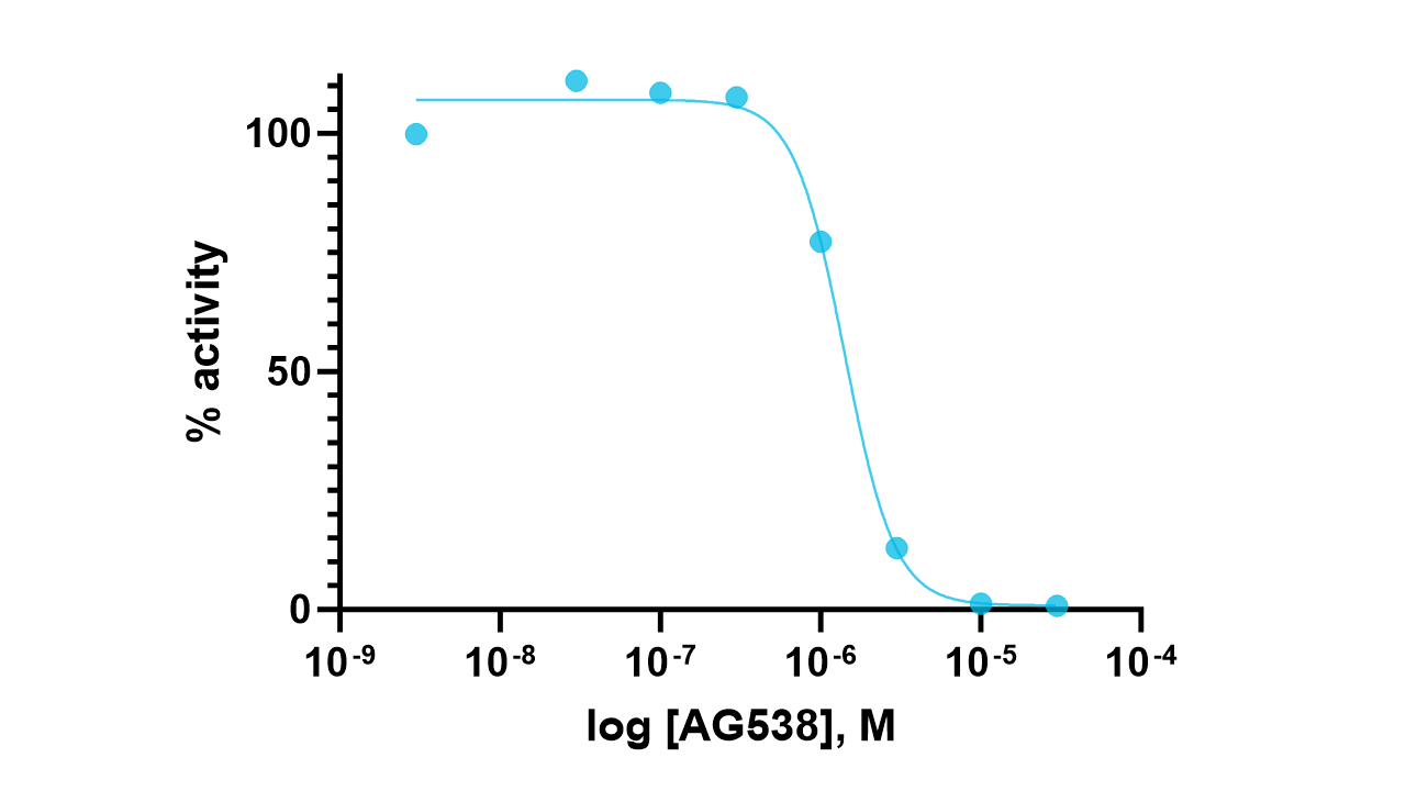 MDA5, active