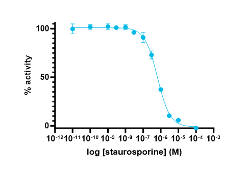 CDKL5 Kinase Enzyme Activity Assay Kit