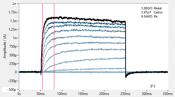 PrecisION™ hKv1.6 Recombinant Stable Cell Line