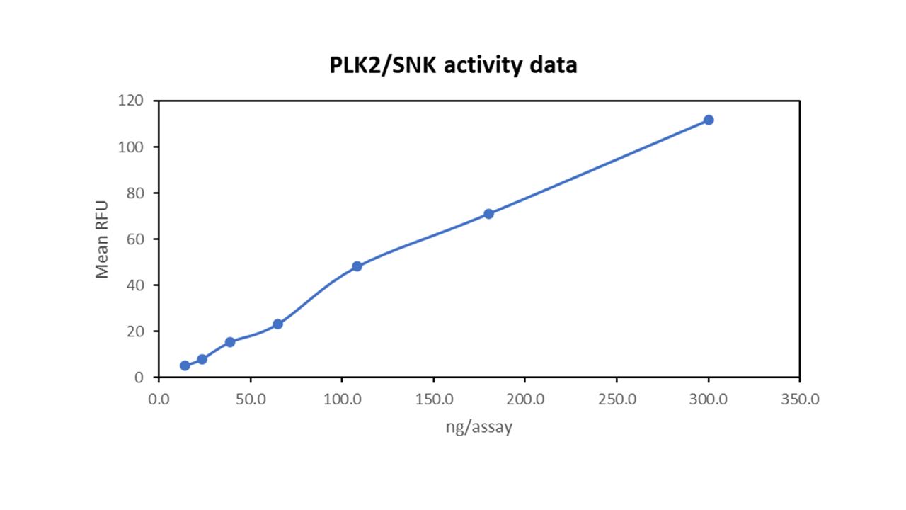 PLK2/SNK, active
