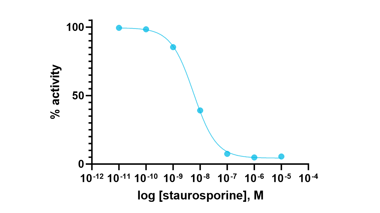PKA Kinase Enzyme Activity Assay Kit