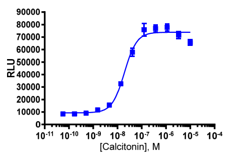 PathHunter® eXpress CALCR U2OS β-Arrestin GPCR Assay