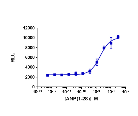 PathHunter® CHO-K1 NPR1 Functional Assay