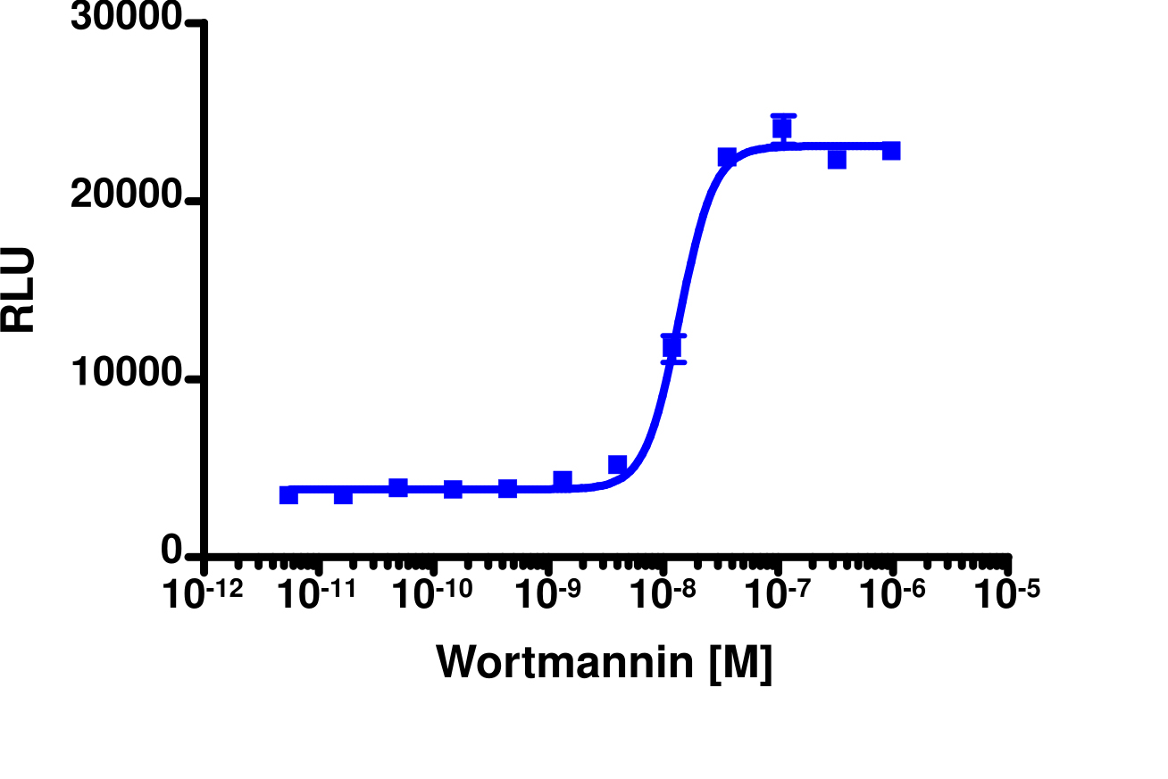 PathHunter® U2OS FOXO3 Nuclear Translocation Cell Line