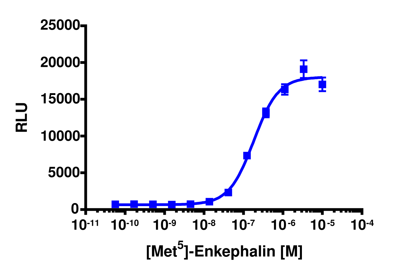 PathHunter® CHO-K1 OPRM1 β-Arrestin Cell Line