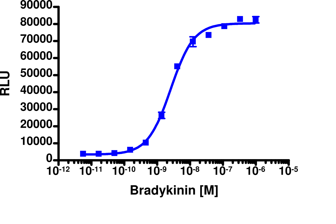 PathHunter® BDKRB2 Activated GPCR Internalization U2OS Cell Line