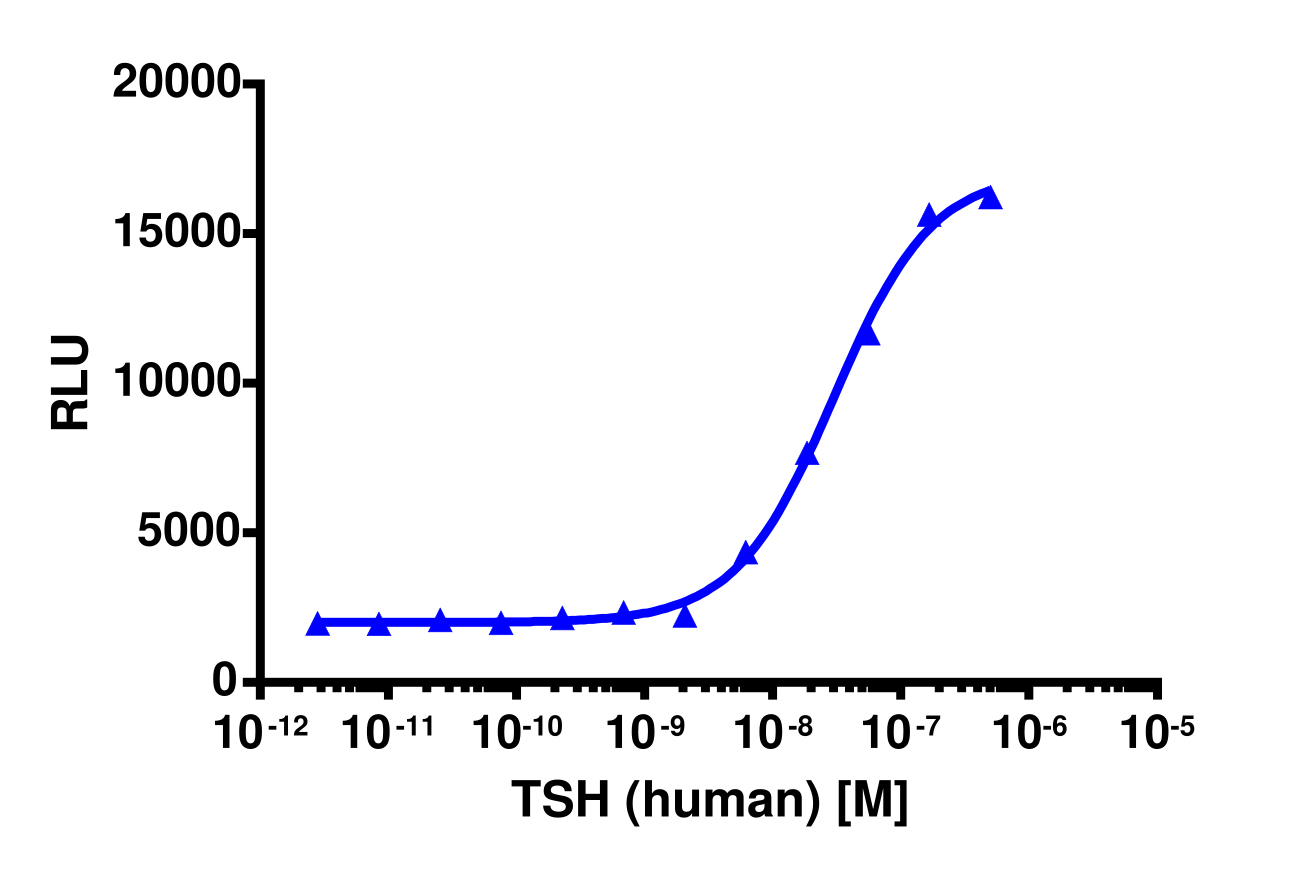 PathHunter® U2OS TSHR (Long Isoform) β-Arrestin Cell Line
