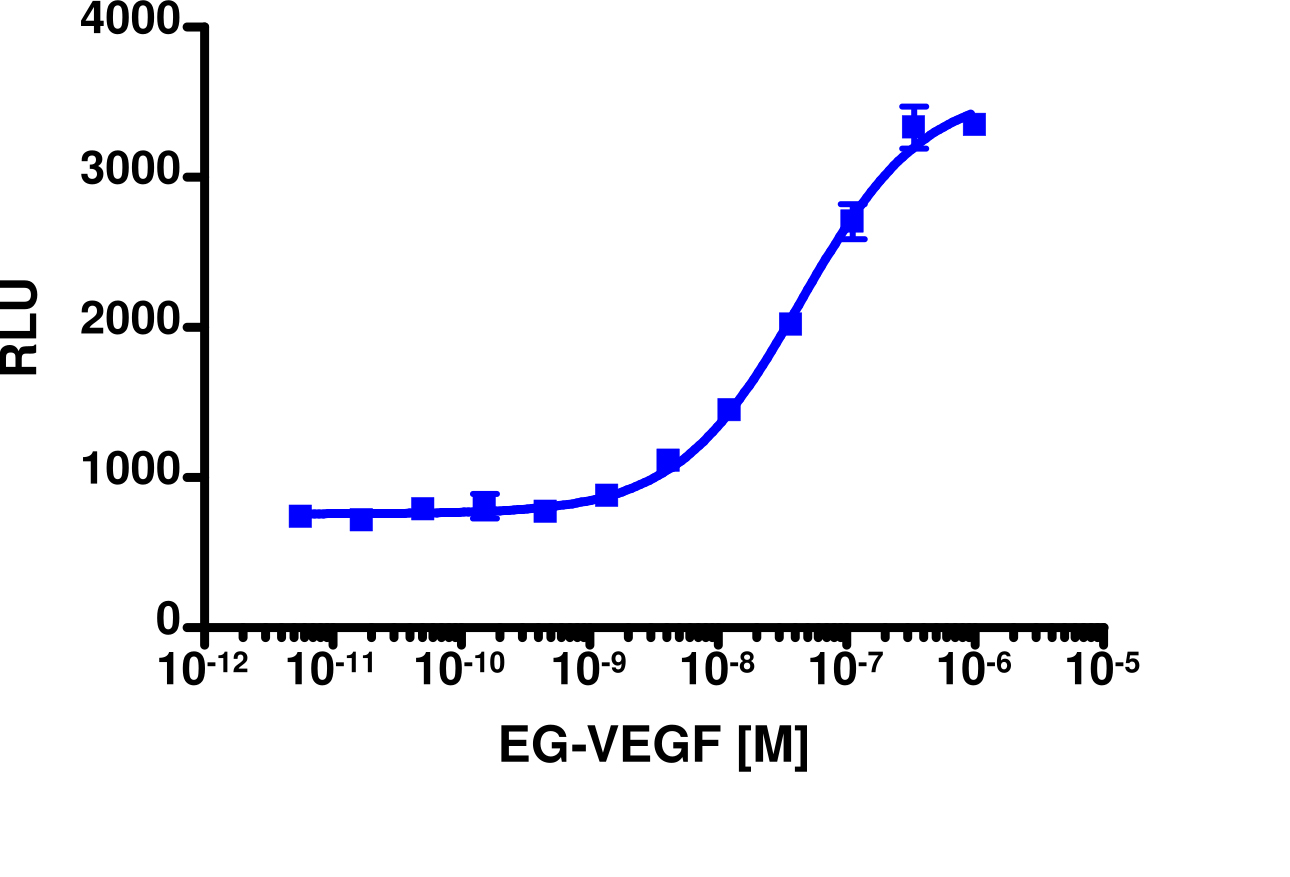 PathHunter® PROKR1 Total GPCR Internalization U2OS Cell Line