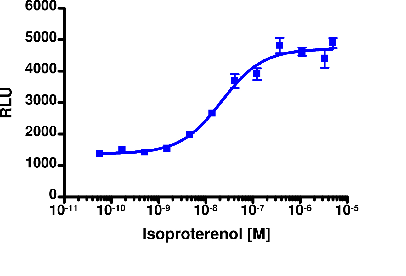 PathHunter® ADRB2 Total GPCR Internalization HEK 293 Cell Line