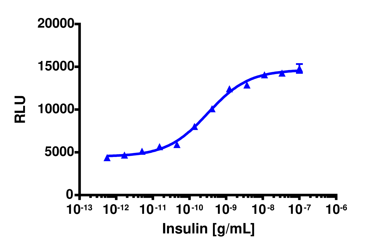 PathHunter® U2OS INSRb Internalization Assay