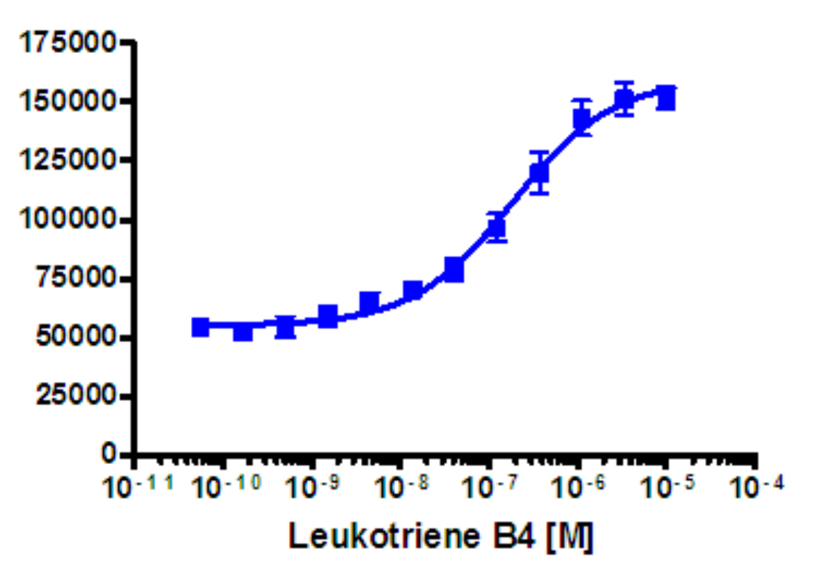 PathHunter® LTB4R Total GPCR Internalization U2OS Cell Line