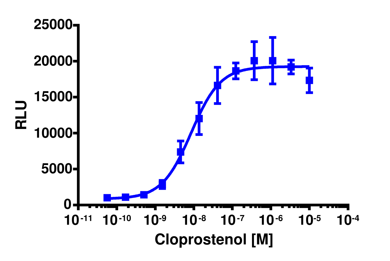 PathHunter® U2OS PTGFR β-Arrestin Cell Line